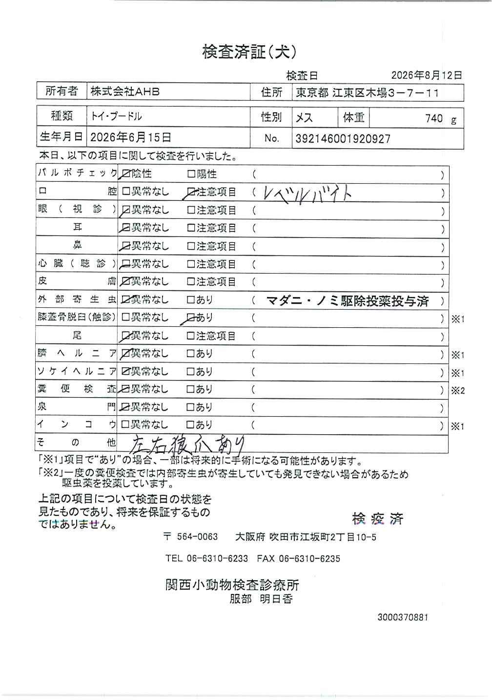 トイ・プードル