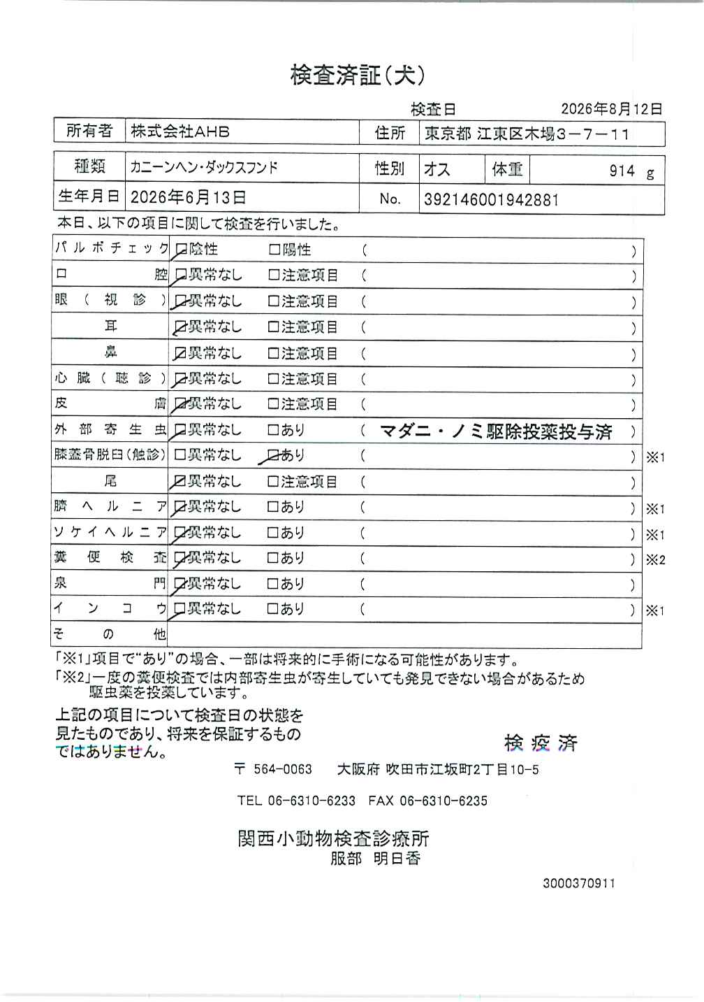カニーンヘン・ダックスフンド