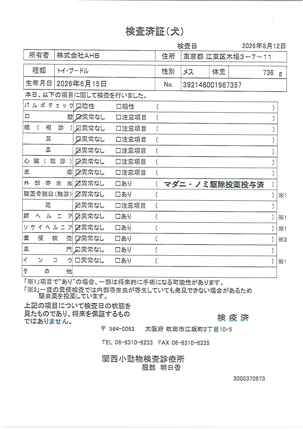 トイ・プードル