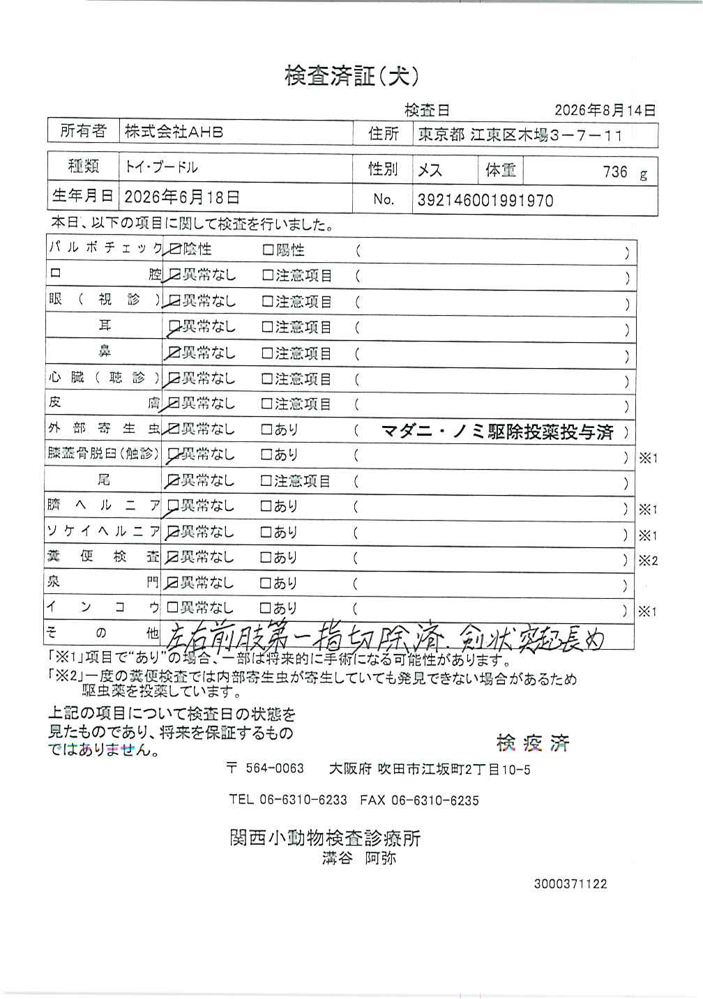 トイ・プードル