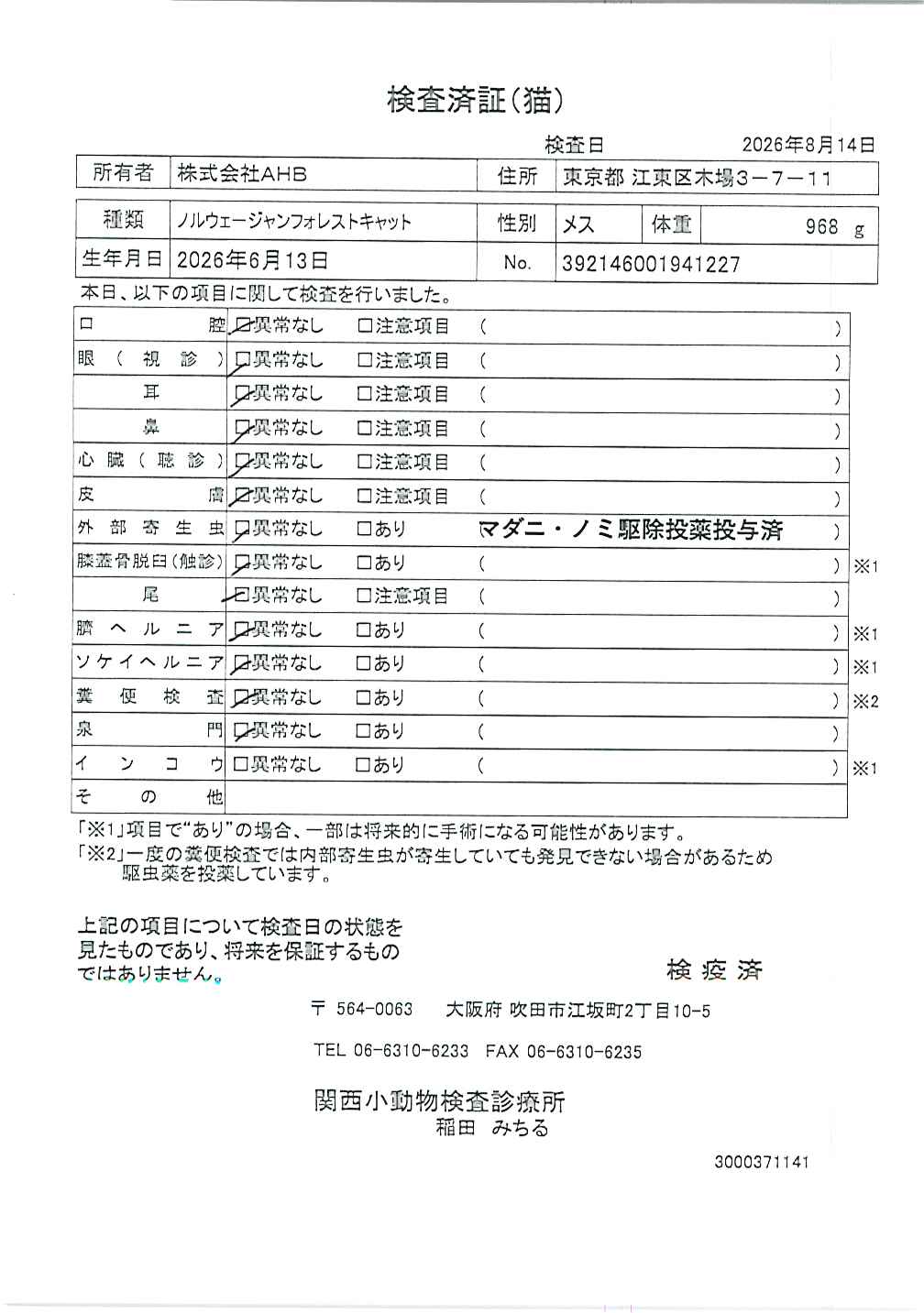 ノルウェージャンフォレストキャット