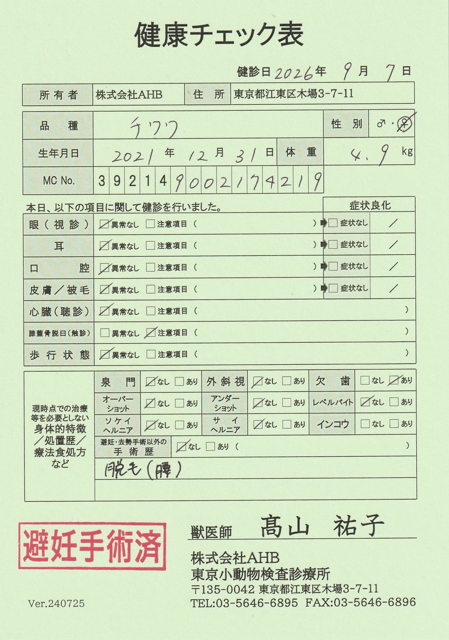 チワワ