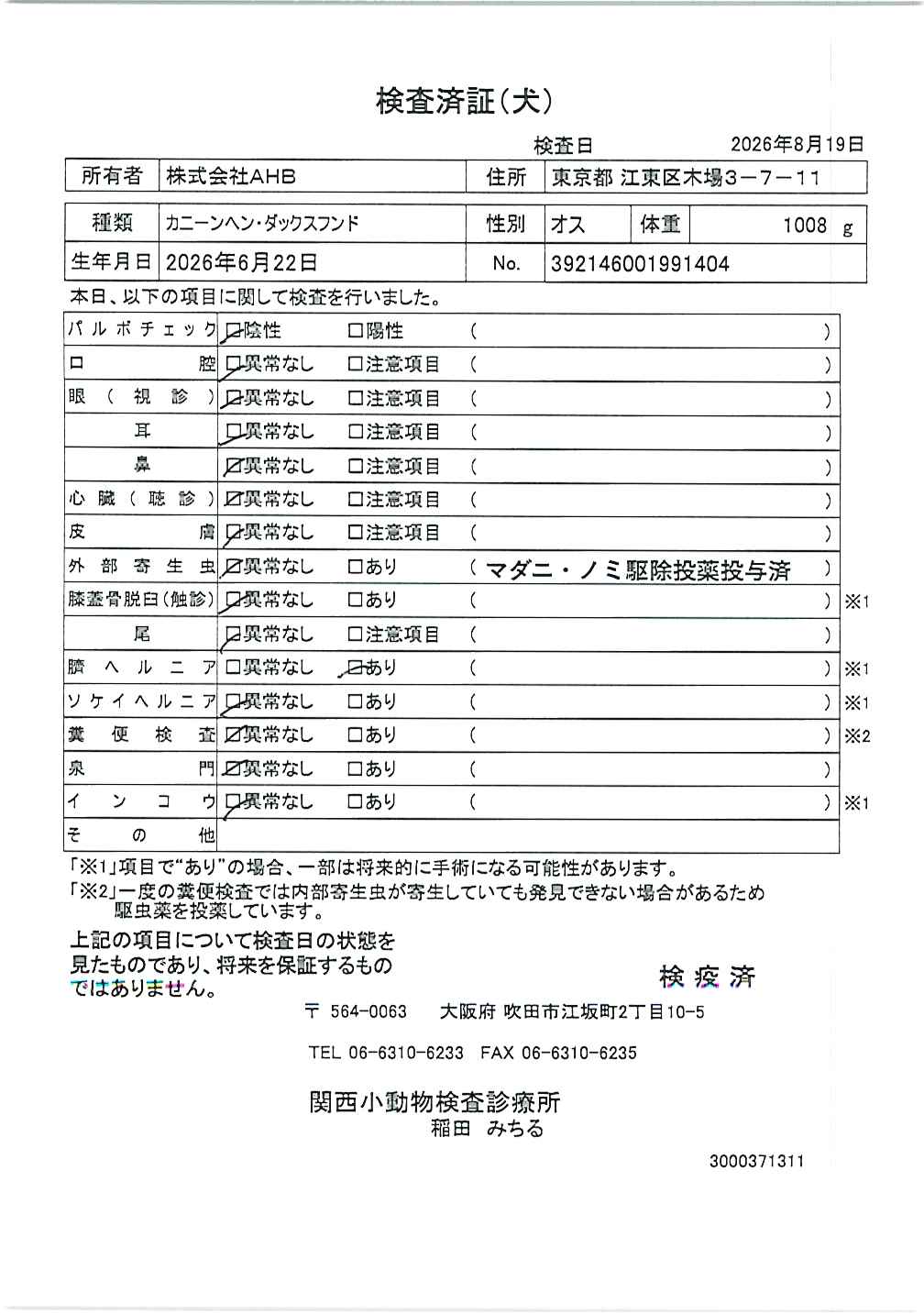 カニーンヘン・ダックスフンド
