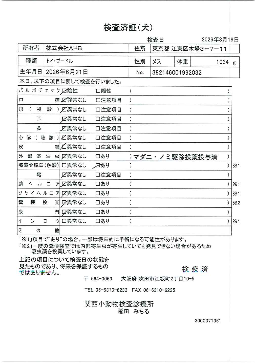 トイ・プードル