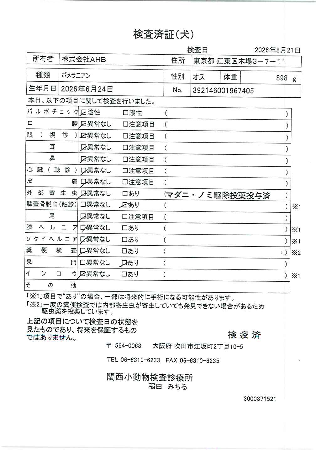 ポメラニアン