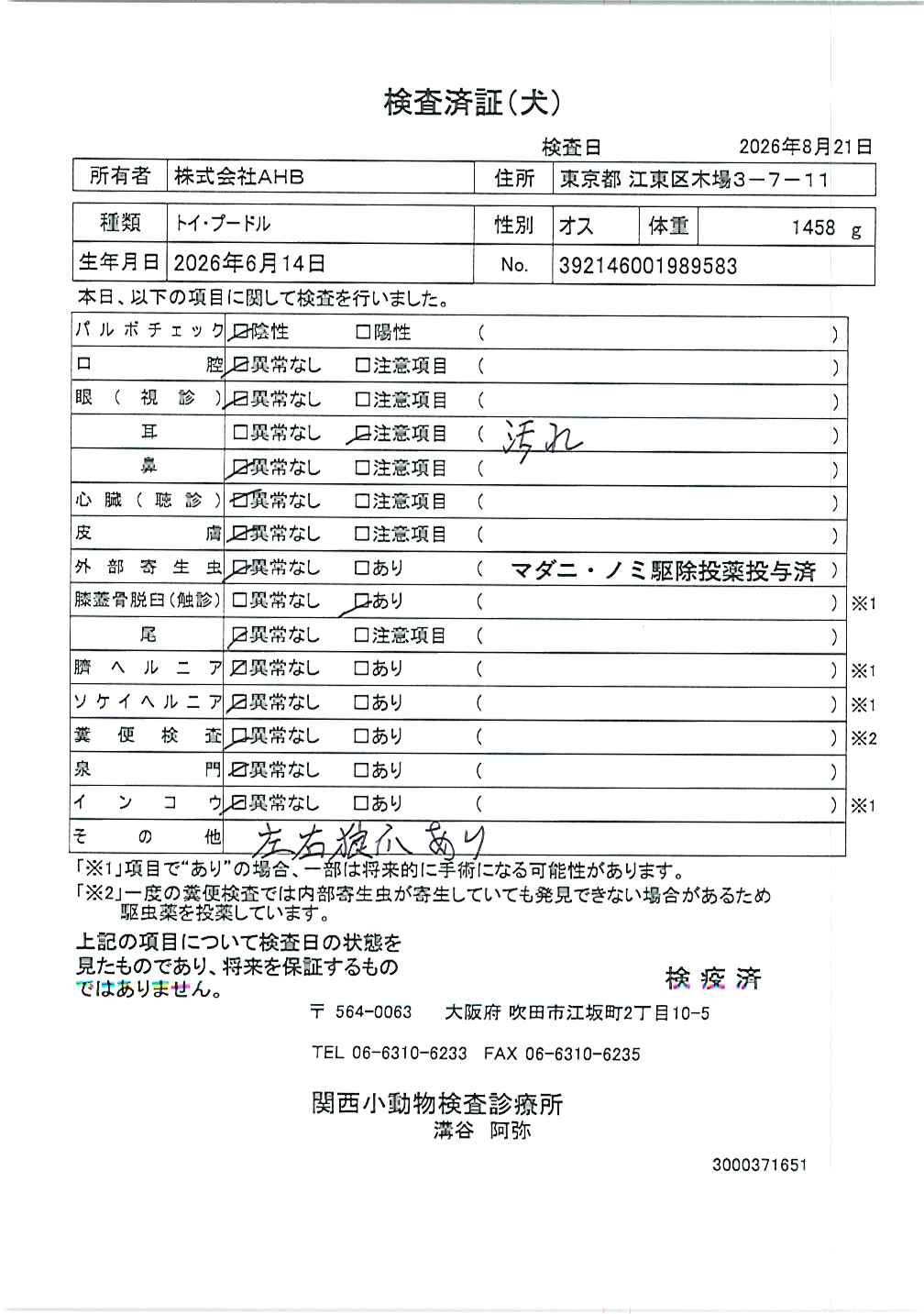 トイ・プードル