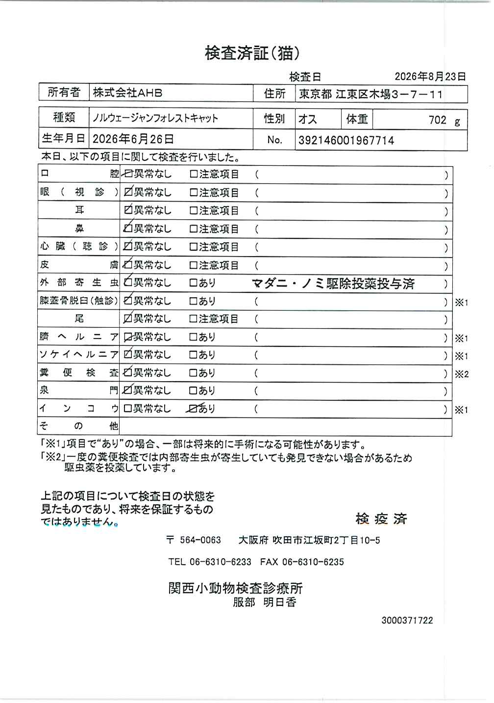 ノルウェージャンフォレストキャット