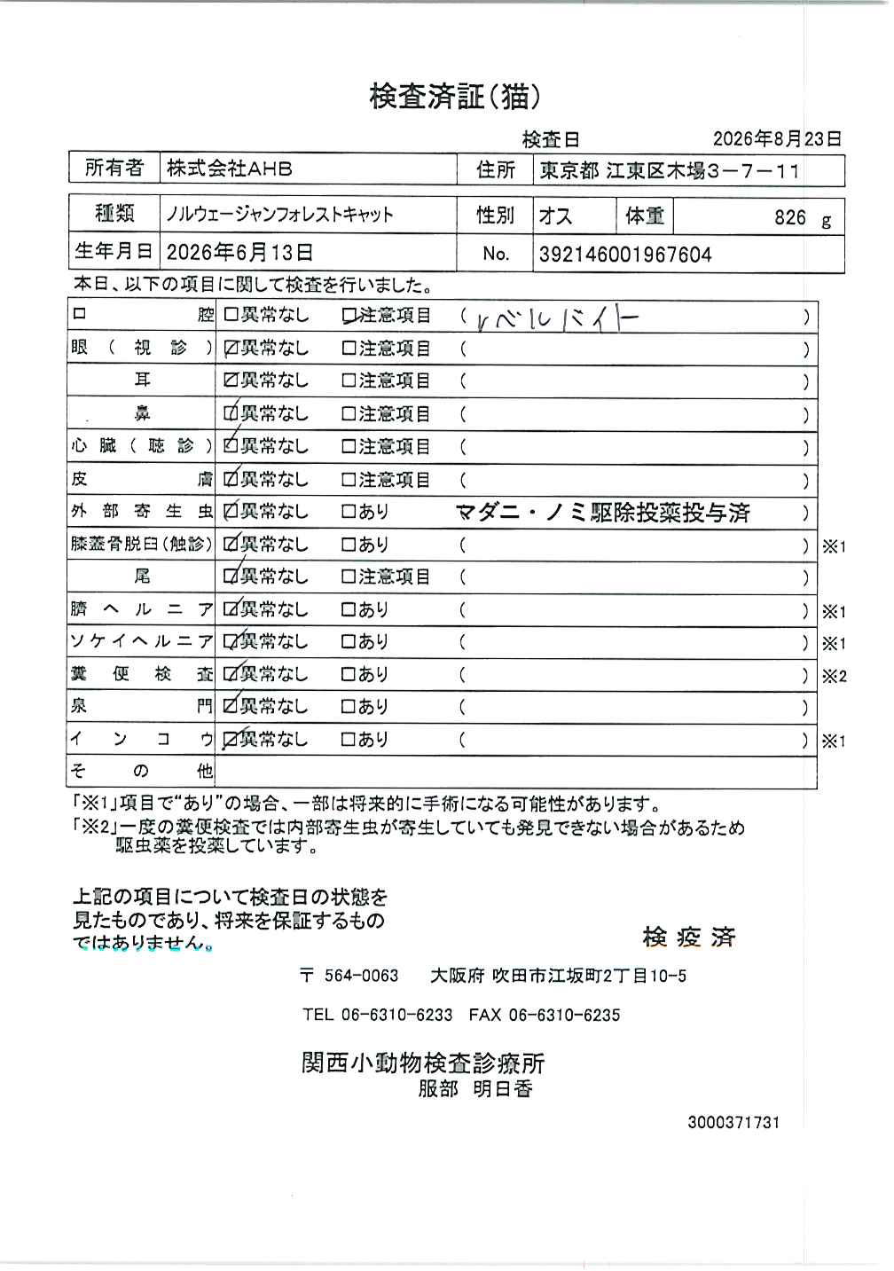 ノルウェージャンフォレストキャット