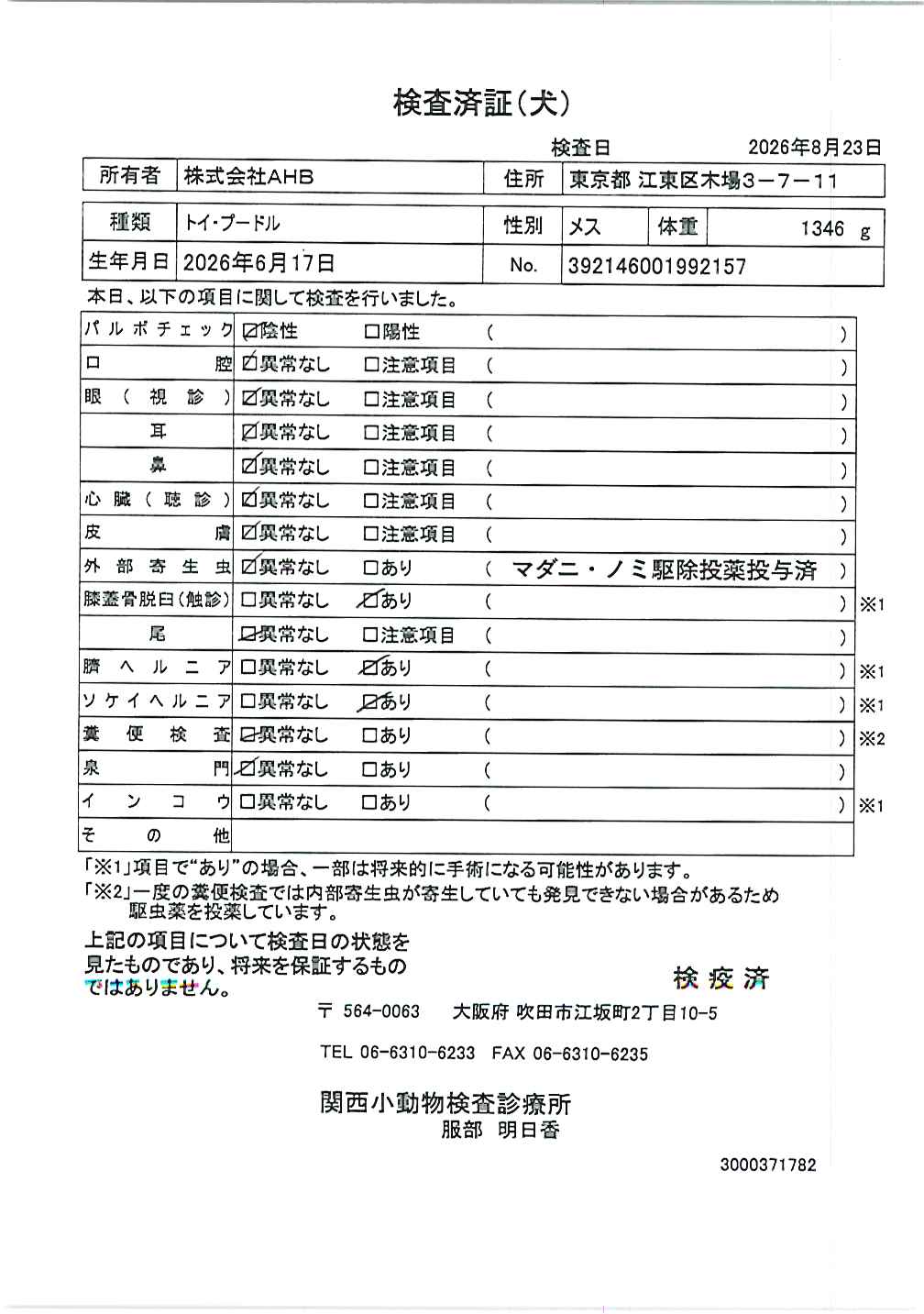 トイ・プードル