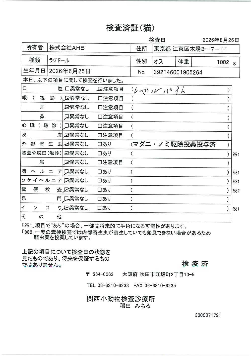 ラグドール