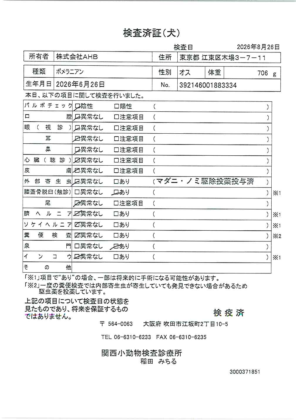 ポメラニアン