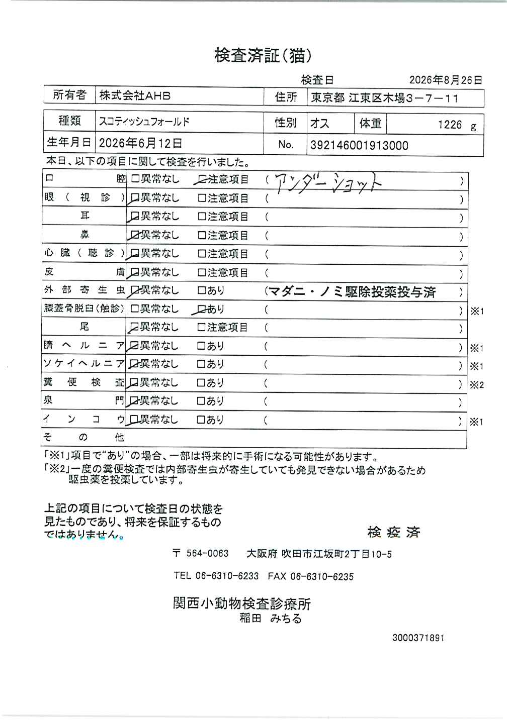 スコティッシュフォールド
