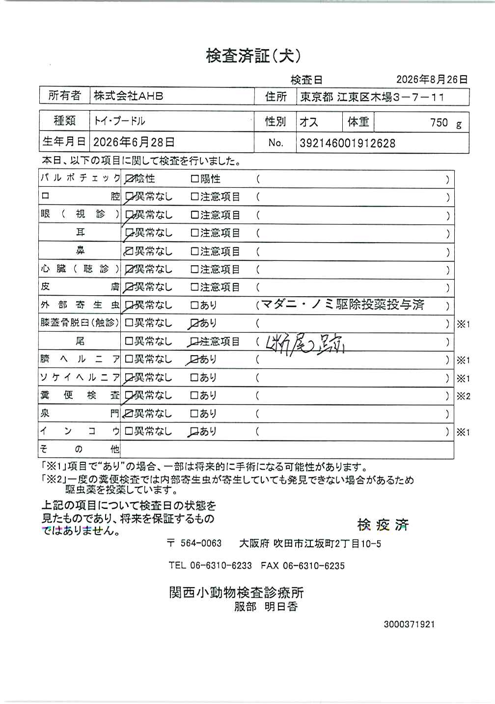 トイ・プードル