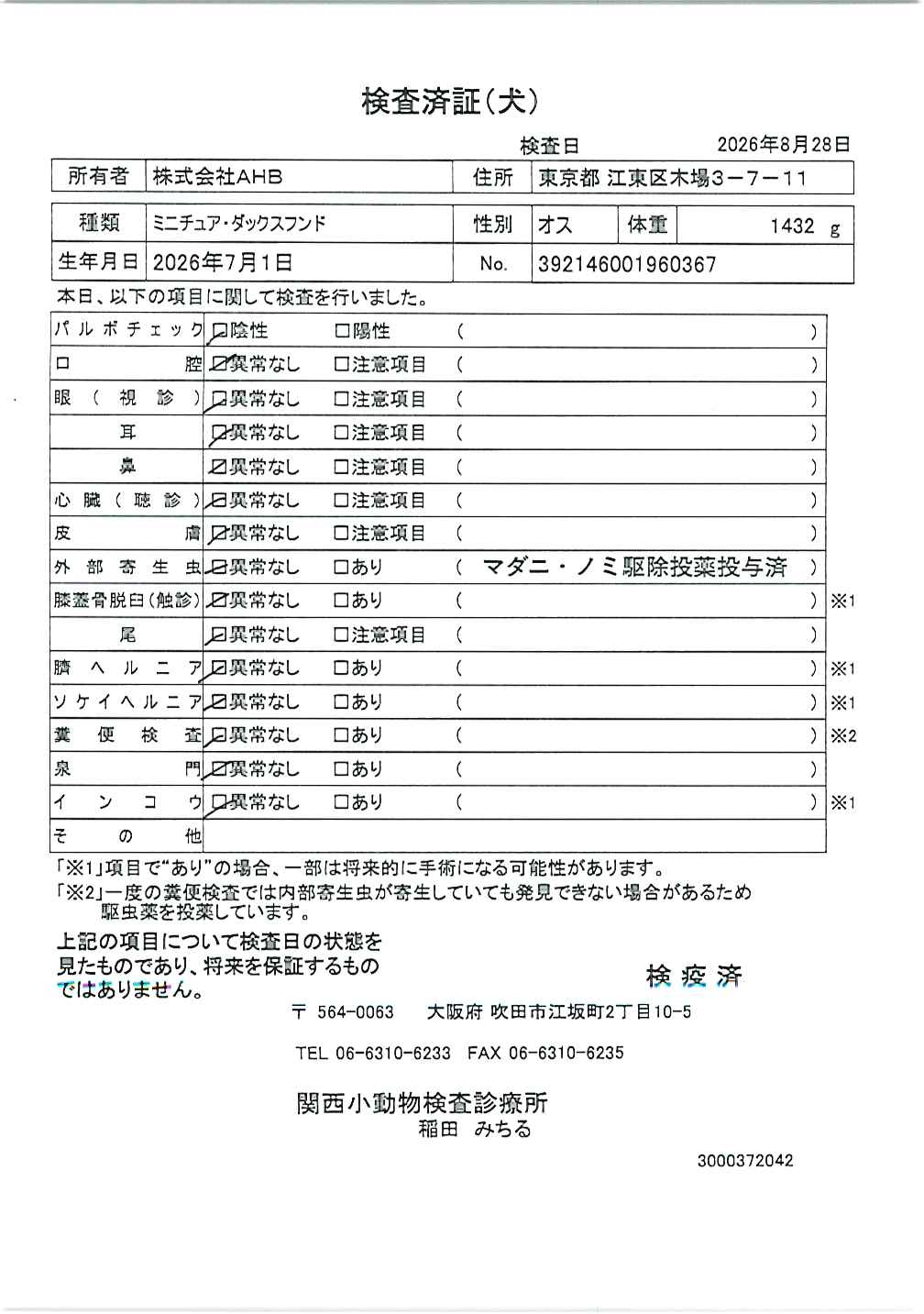 ミニチュア・ダックスフンド