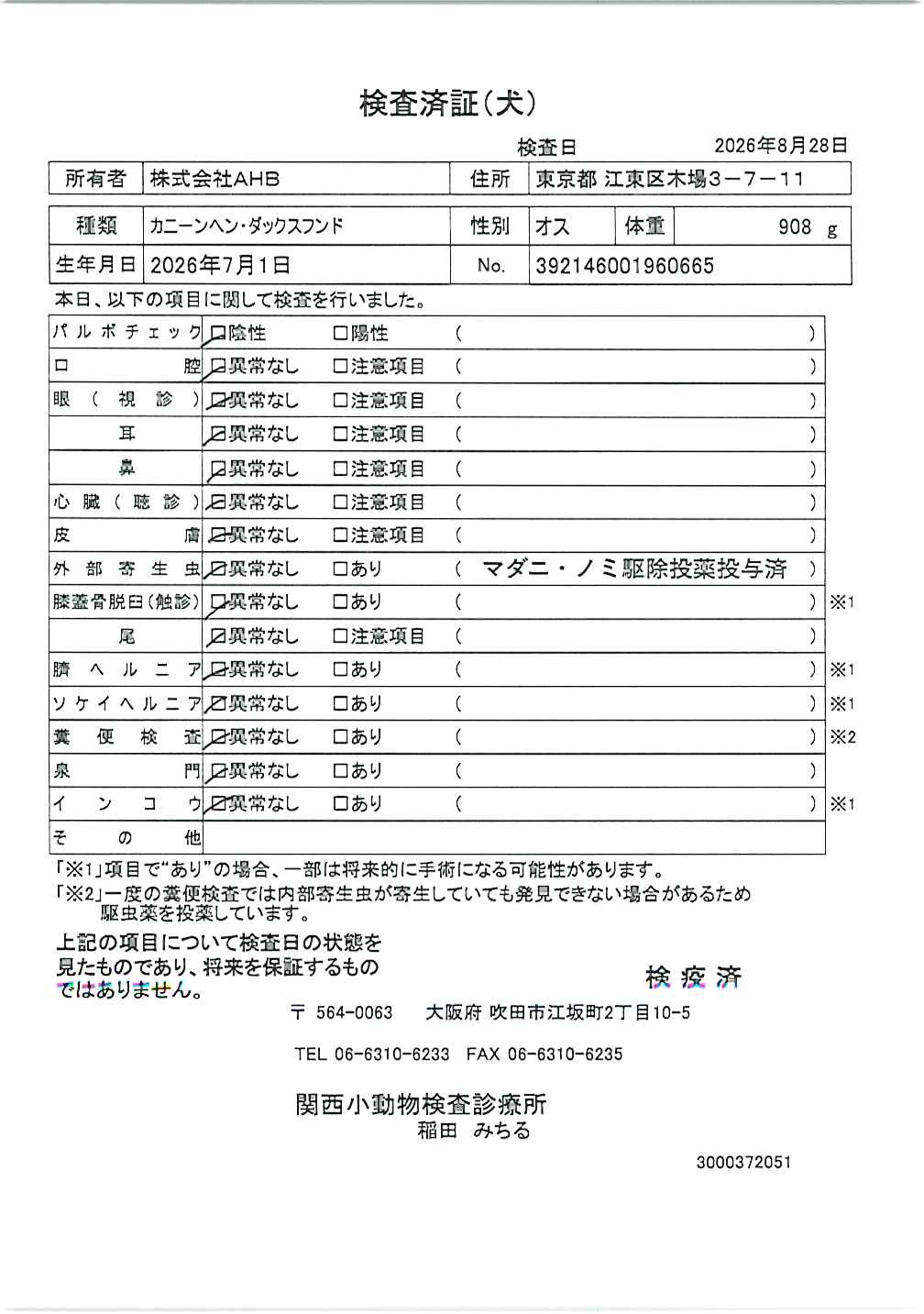 カニーンヘン・ダックスフンド