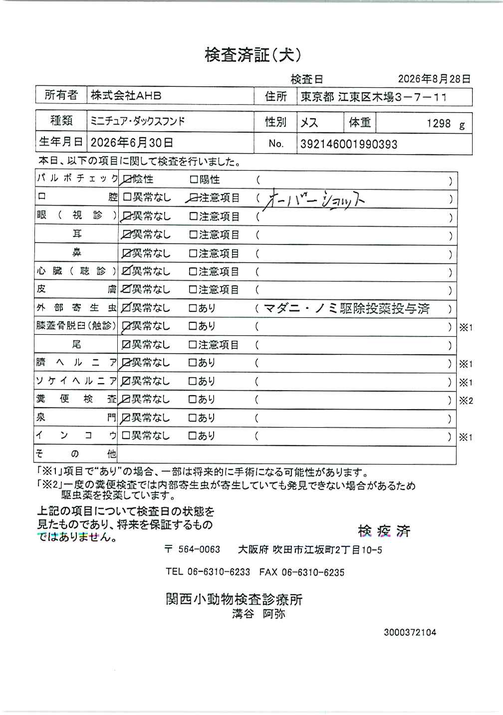 ミニチュア・ダックスフンド