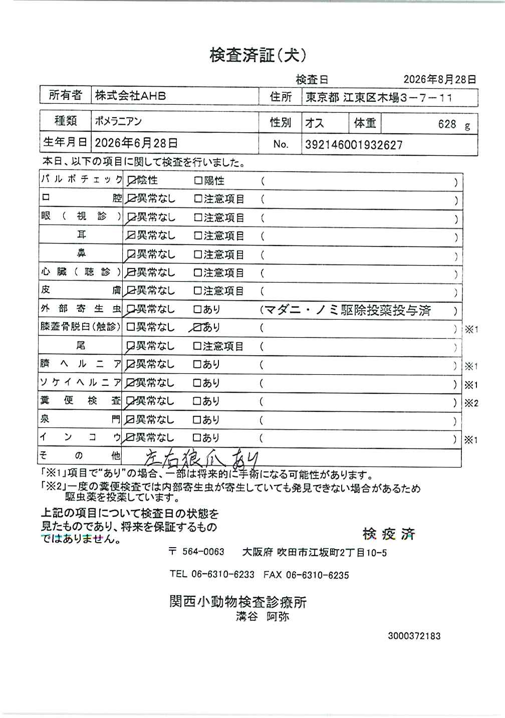 ポメラニアン