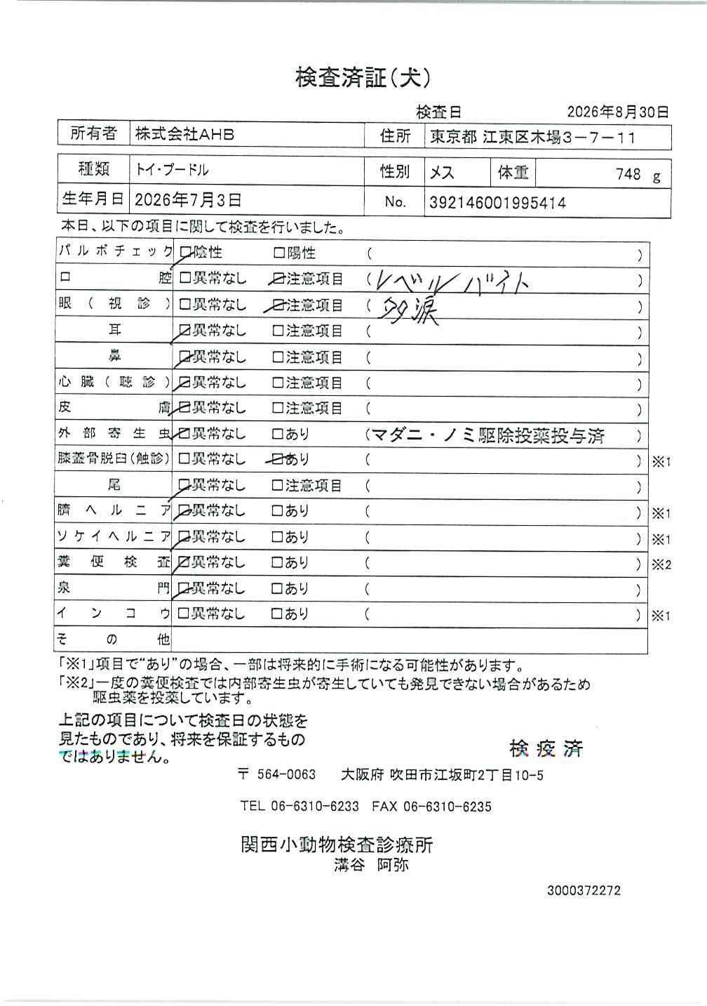 トイ・プードル