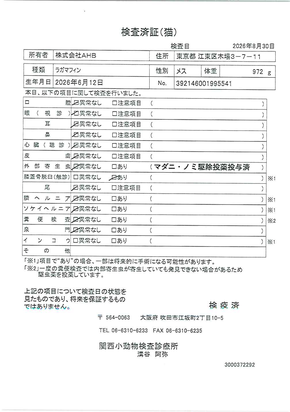 ラガマフィン