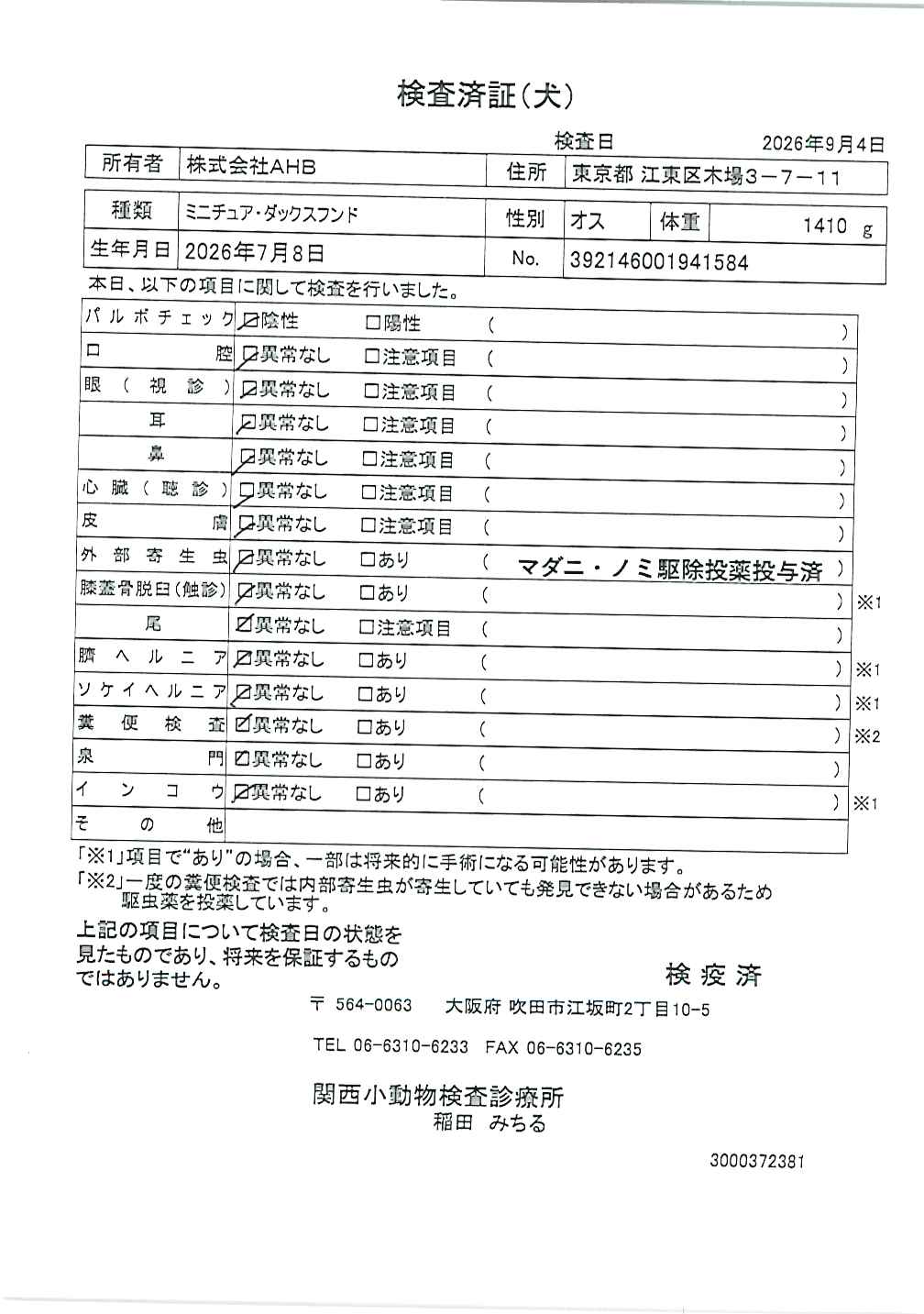ミニチュア・ダックスフンド