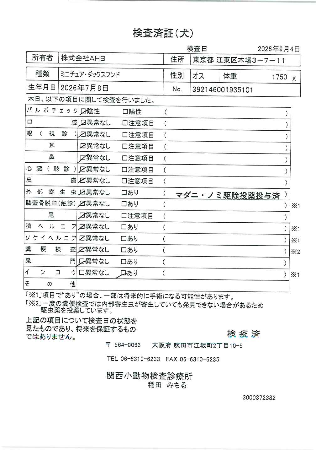 ミニチュア・ダックスフンド