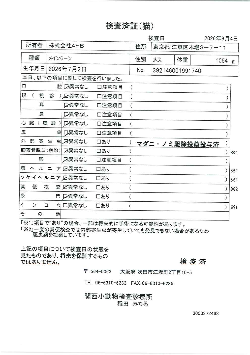 メインクーン