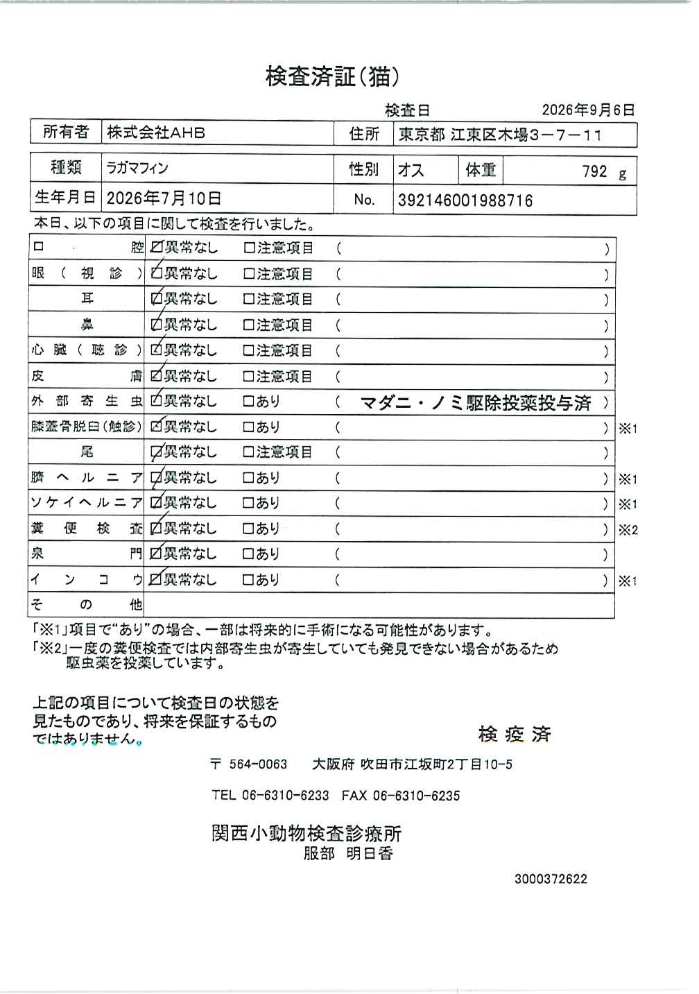 ラガマフィン