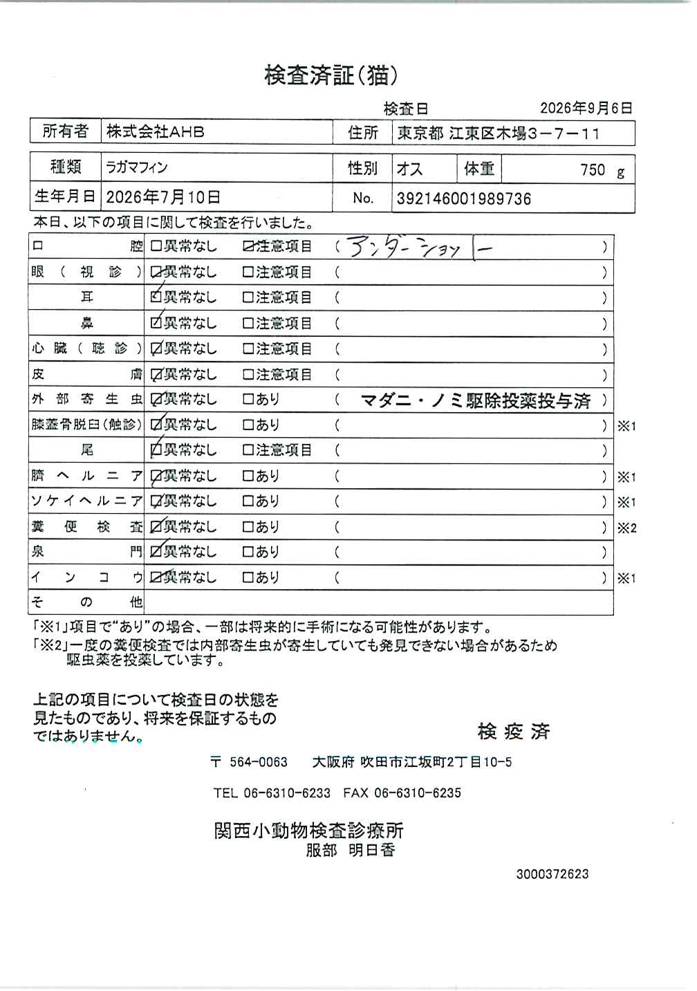 ラガマフィン