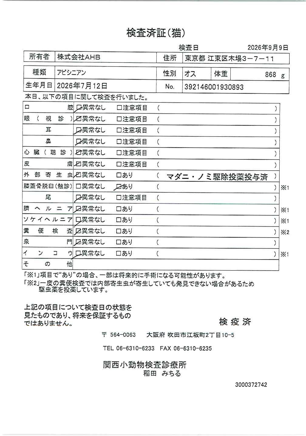 アビシニアン