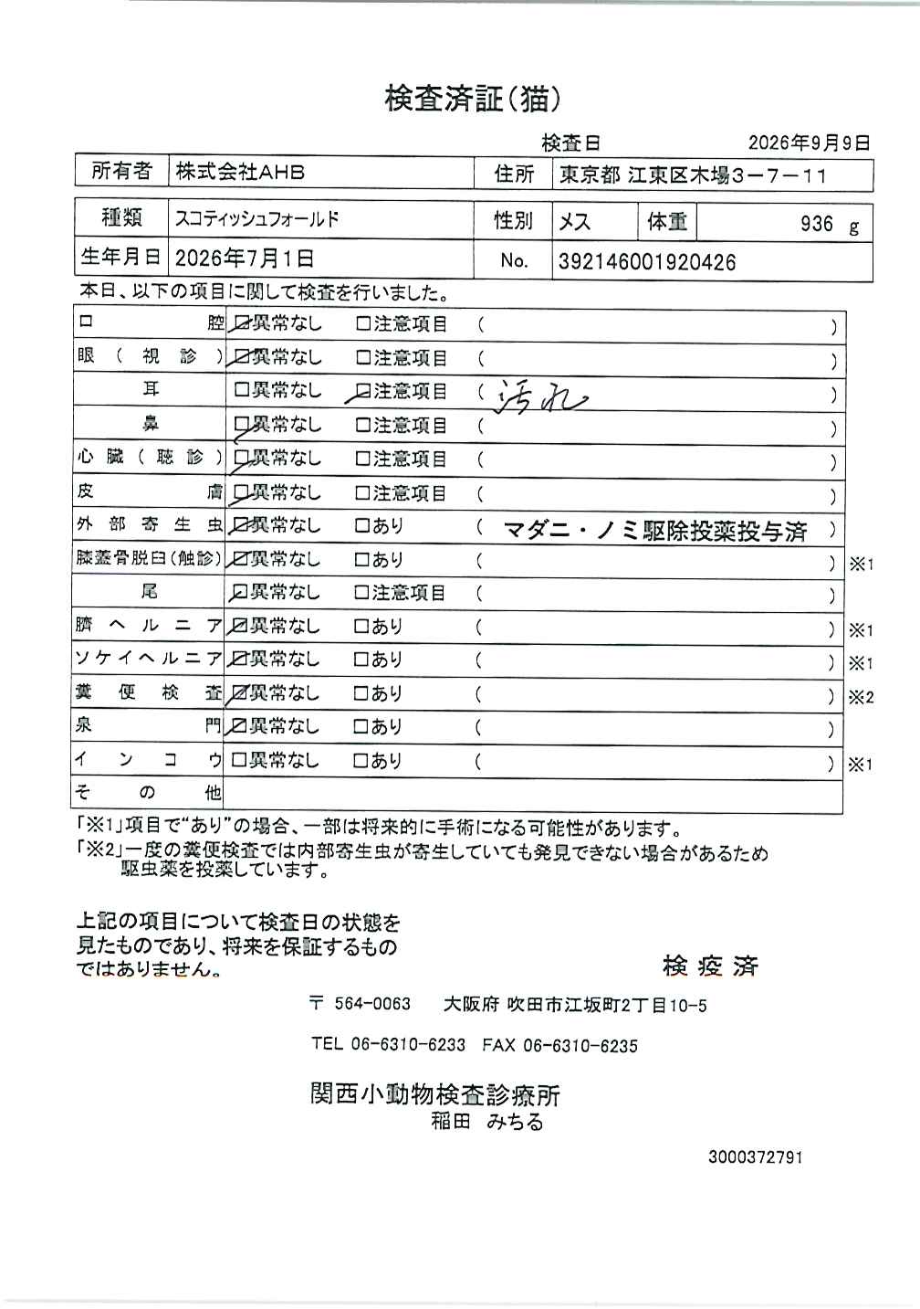 スコティッシュフォールド