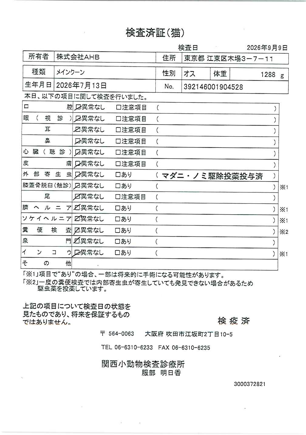 メインクーン