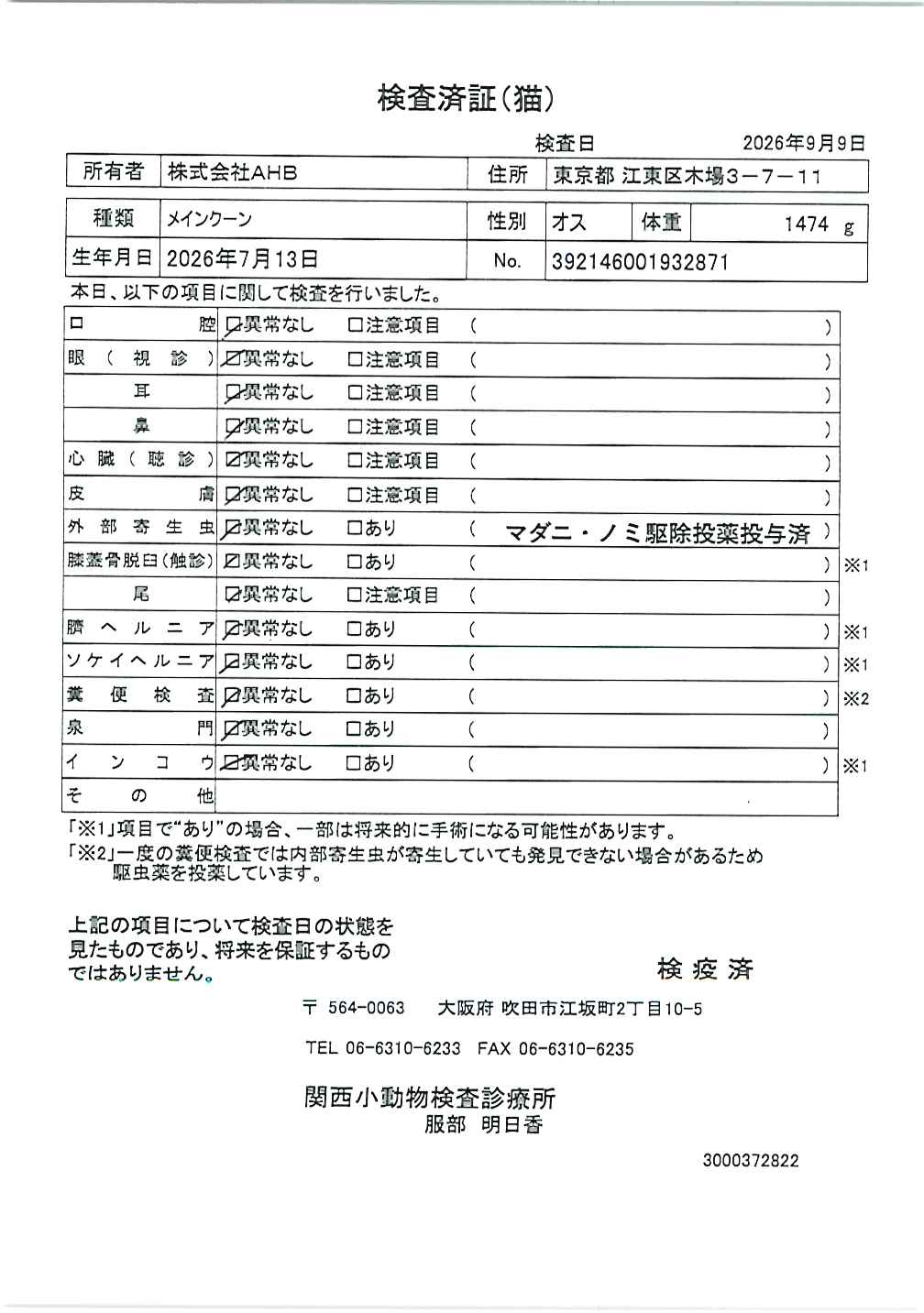 メインクーン