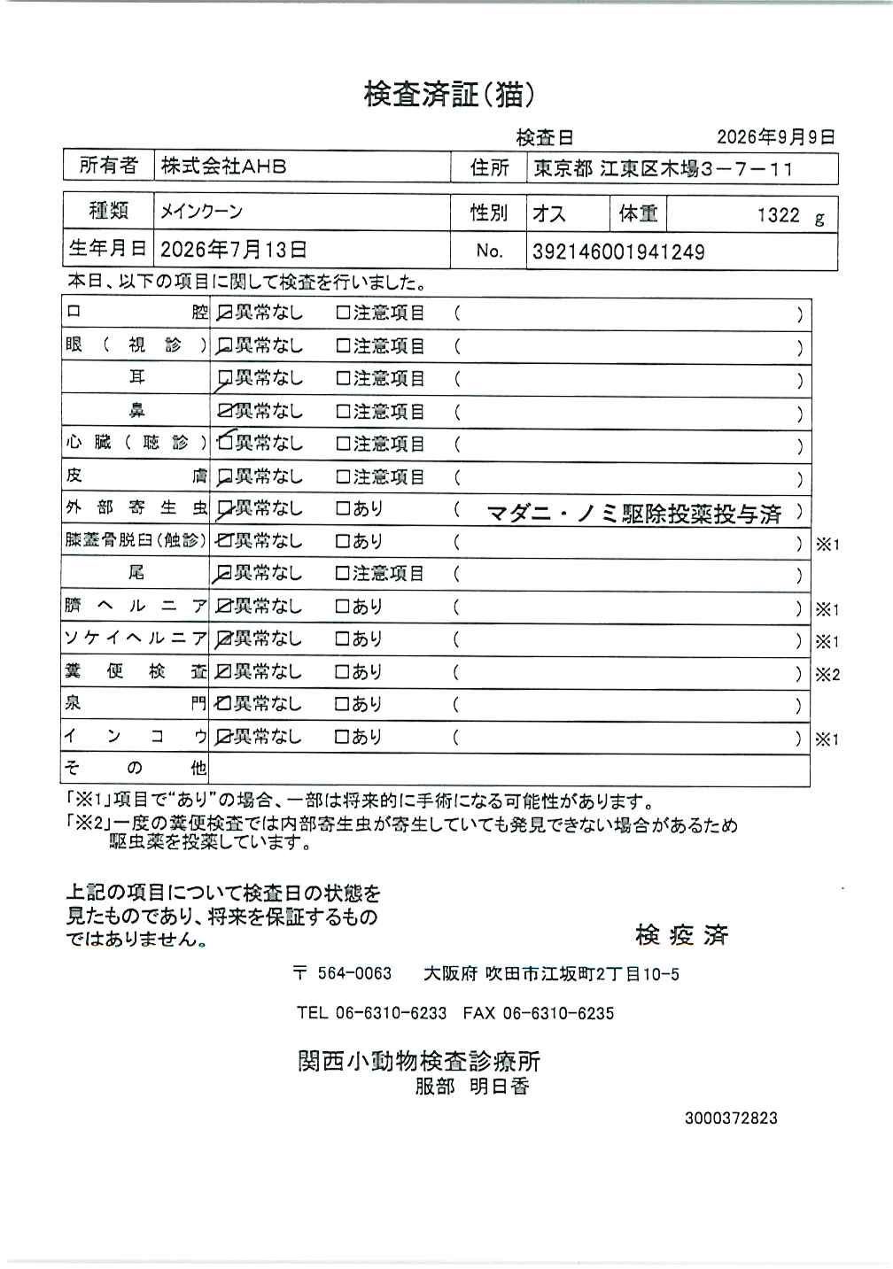 メインクーン