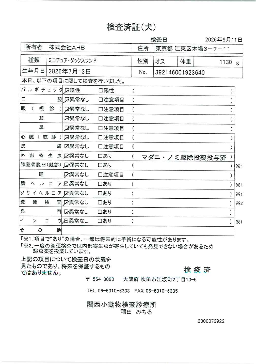 ミニチュア・ダックスフンド