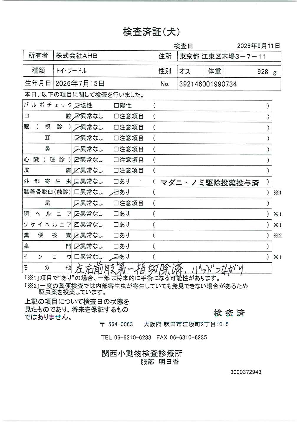 トイ・プードル