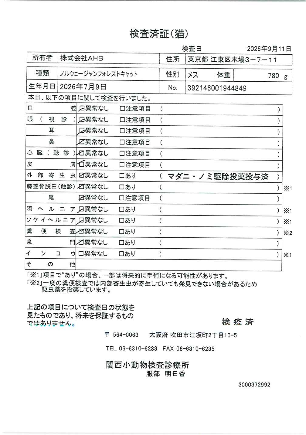 ノルウェージャンフォレストキャット