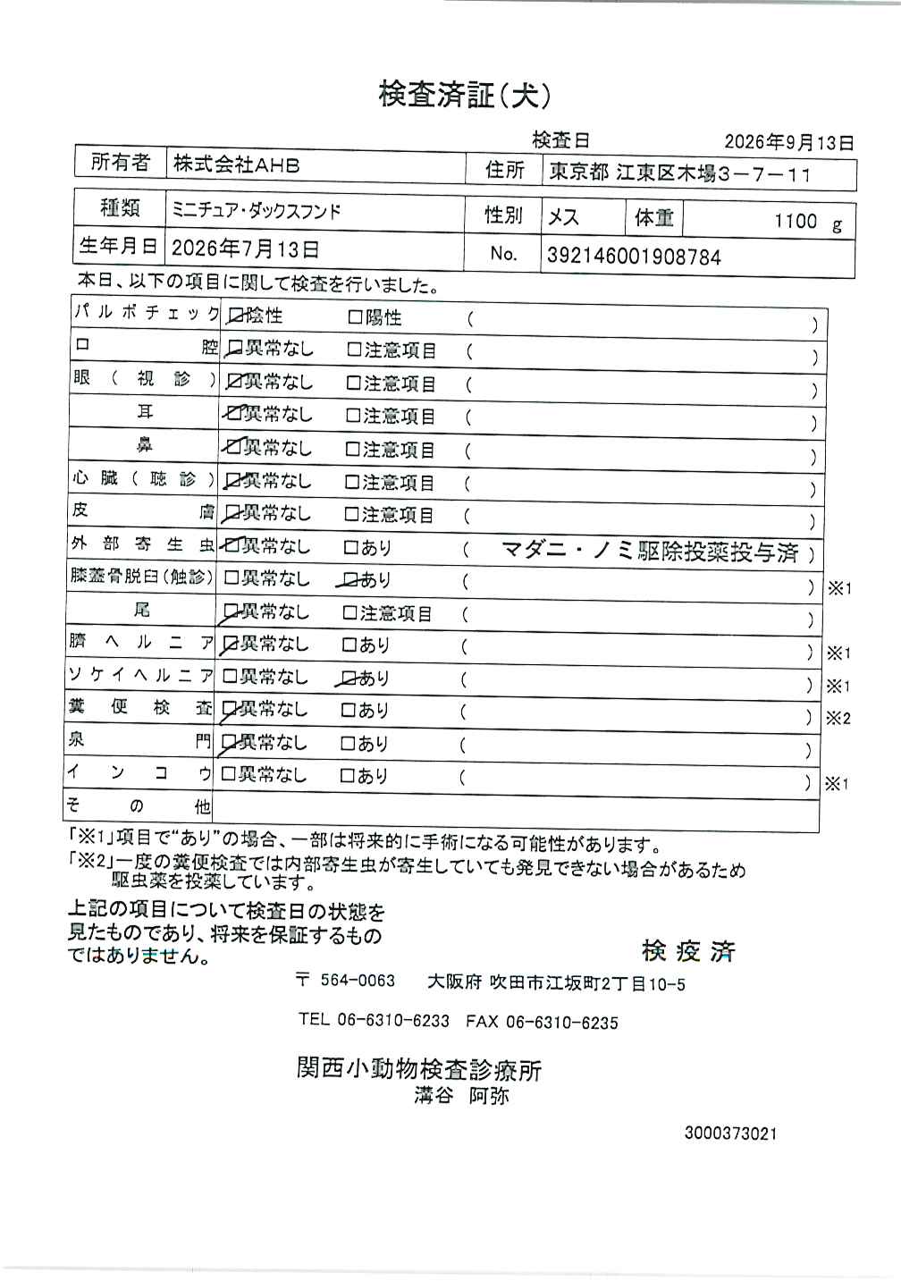 ミニチュア・ダックスフンド