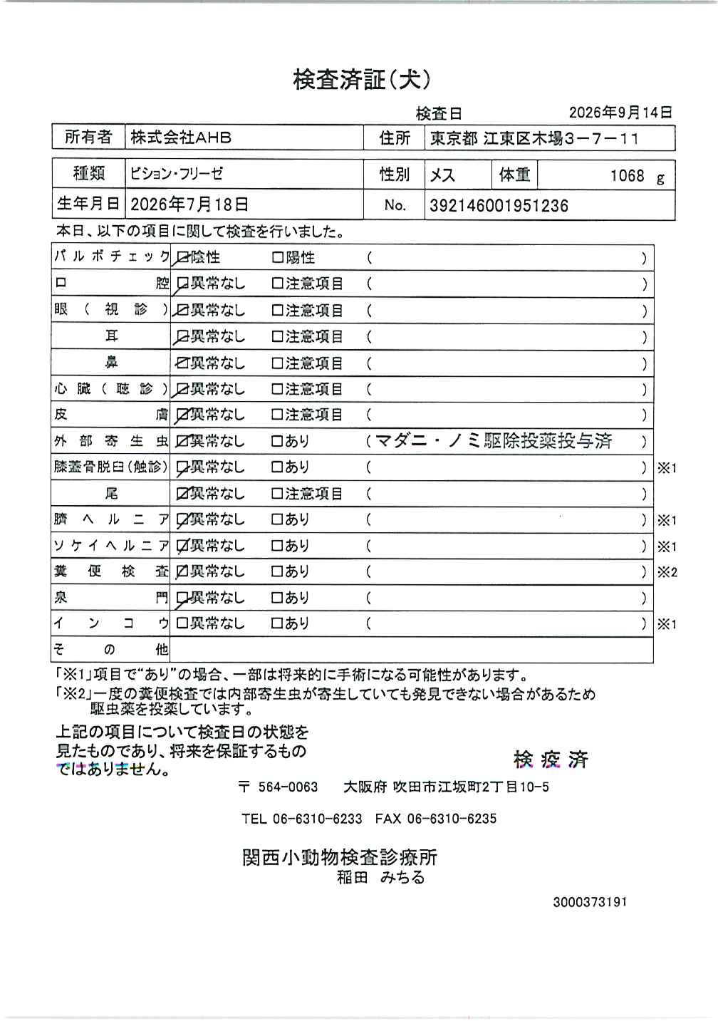 ビション・フリーゼ