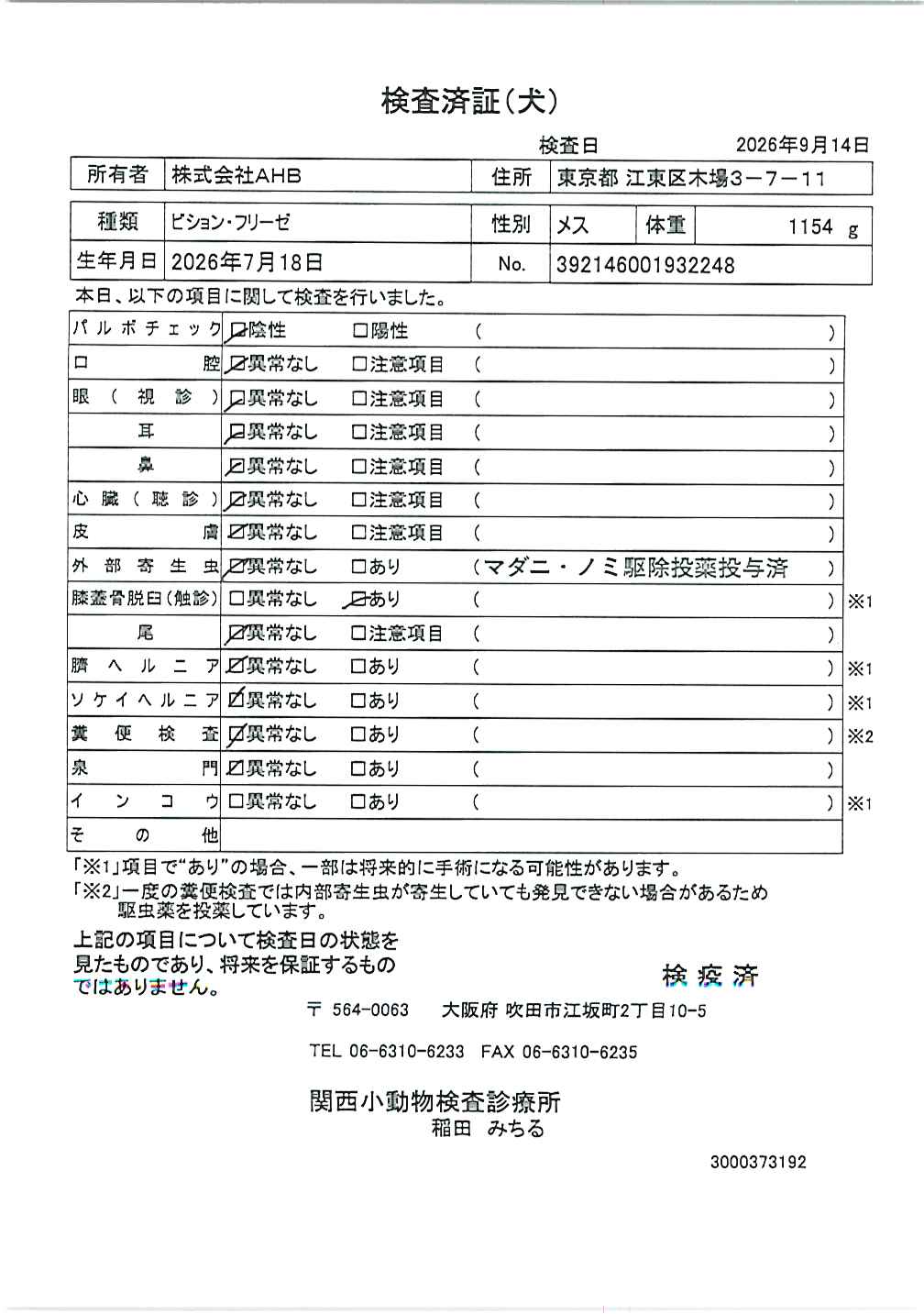 ビション・フリーゼ