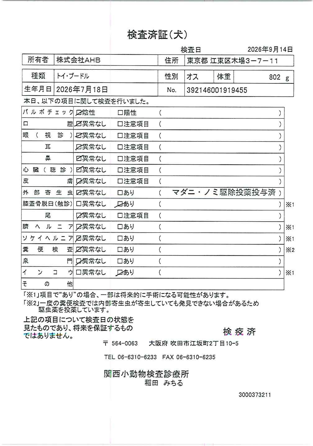 トイ・プードル