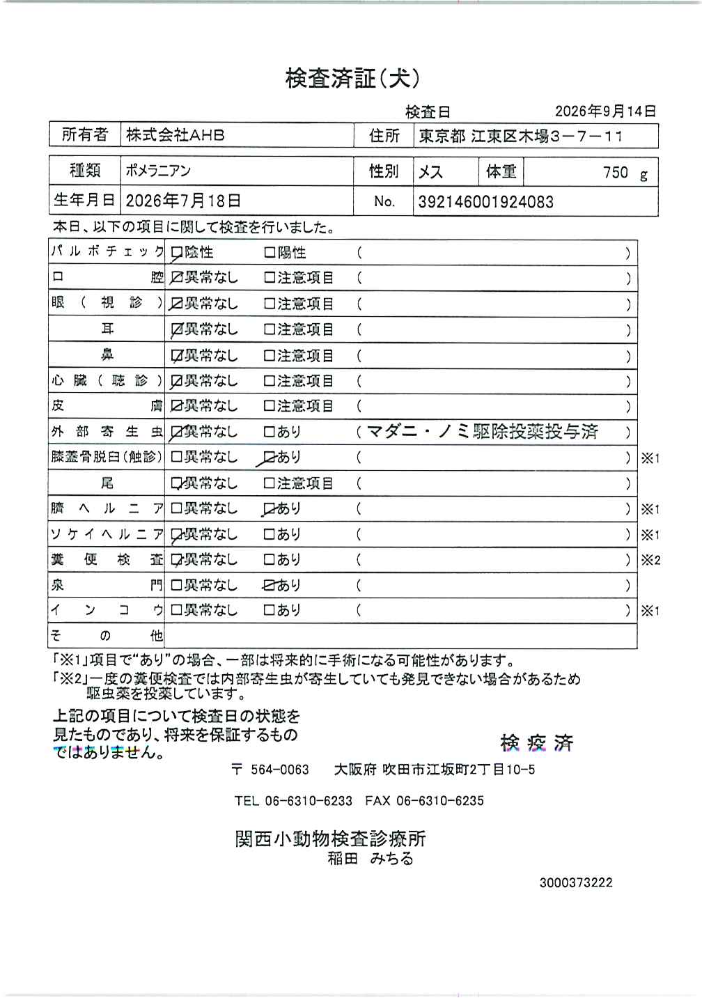 ポメラニアン