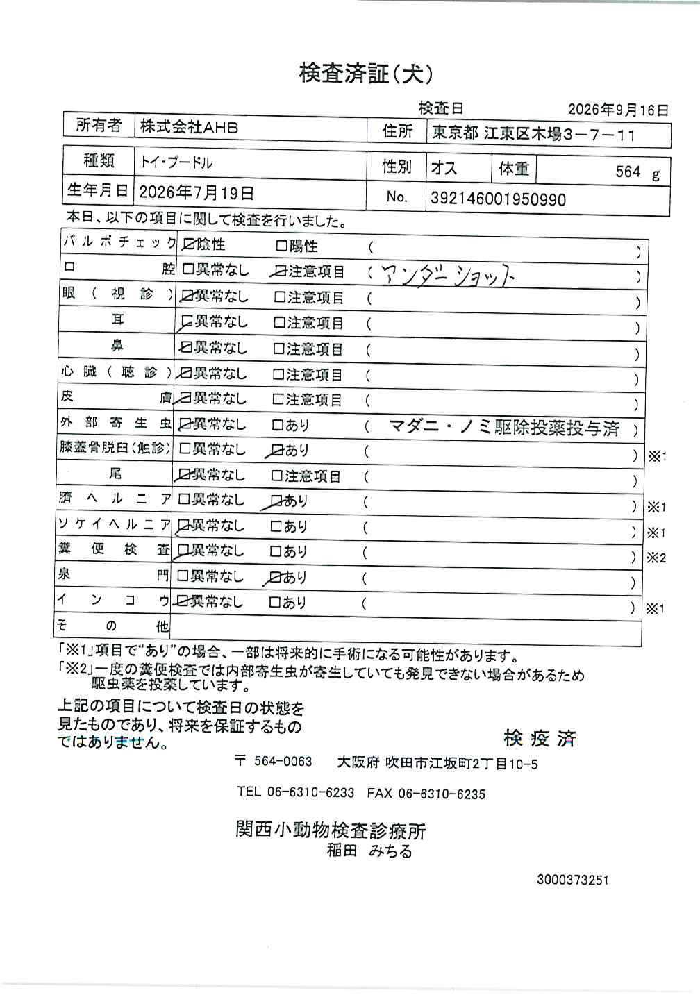 トイ・プードル