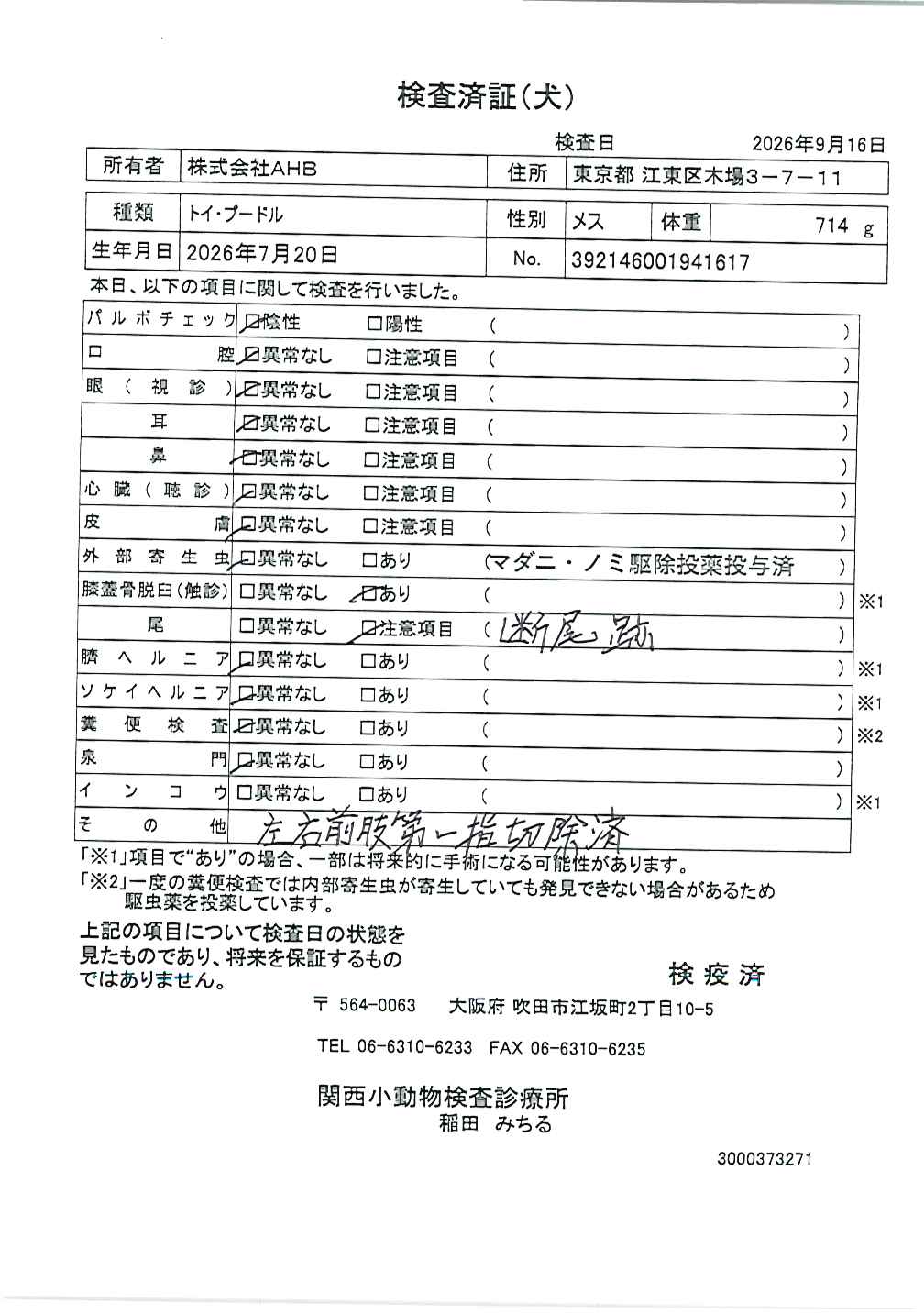 トイ・プードル