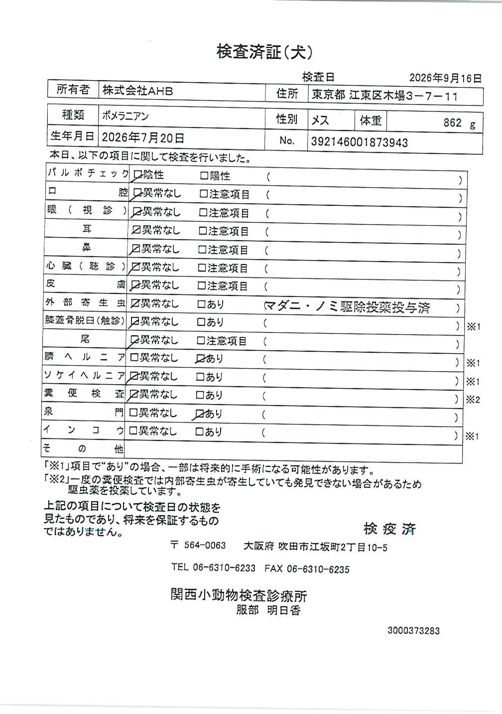ポメラニアン