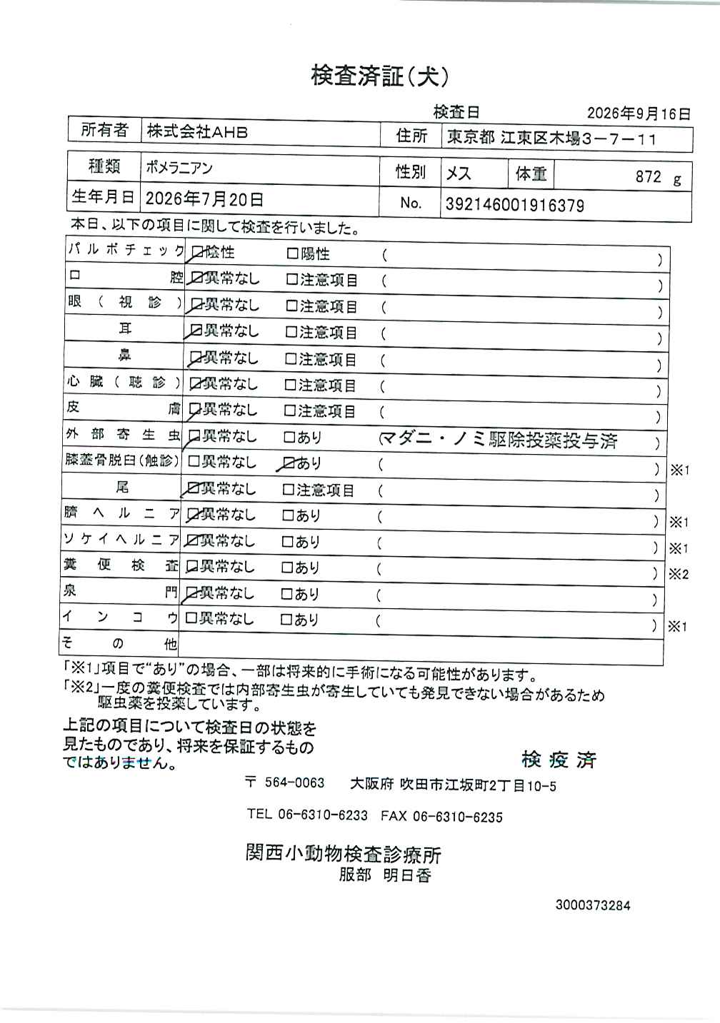 ポメラニアン