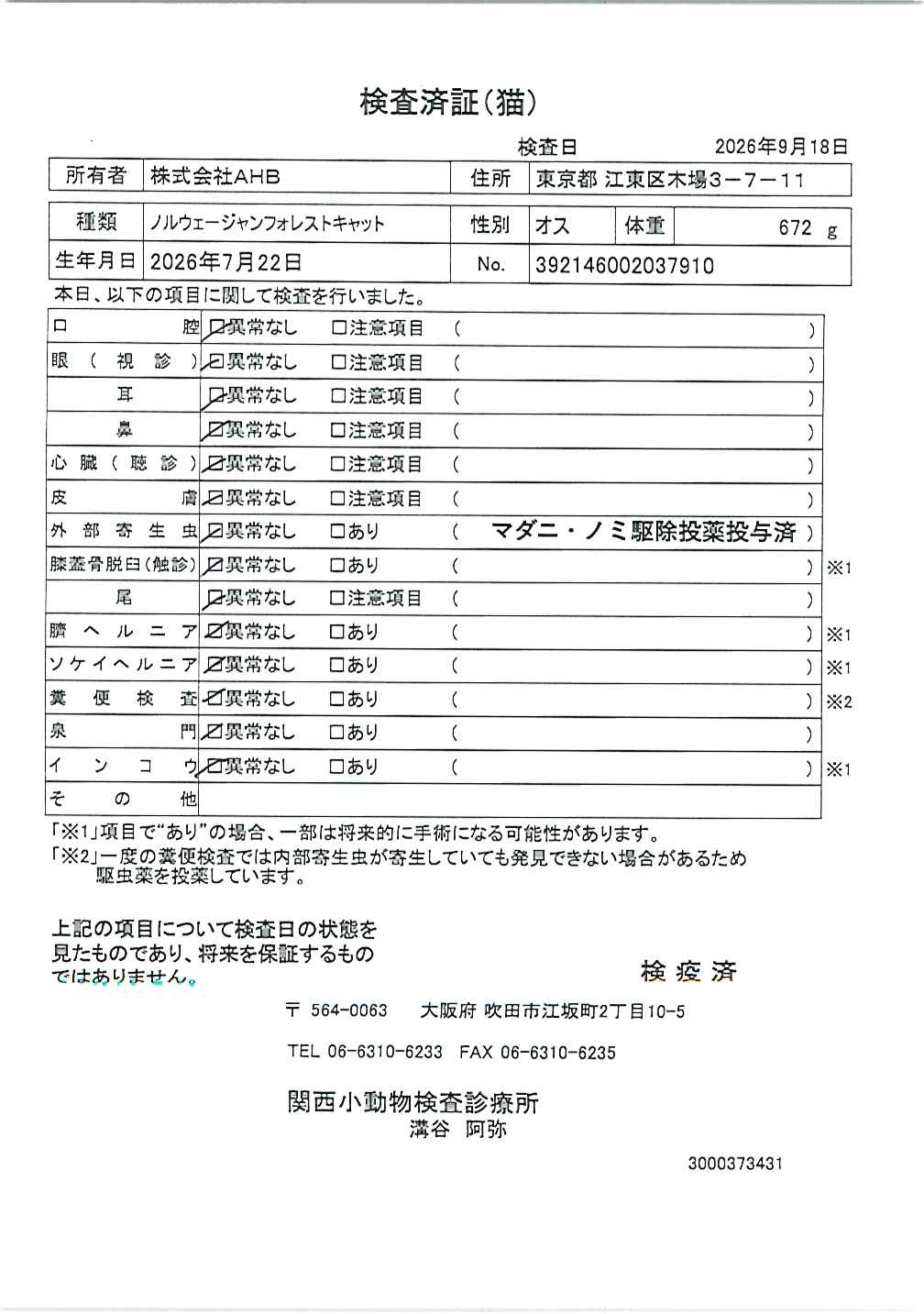 ノルウェージャンフォレストキャット