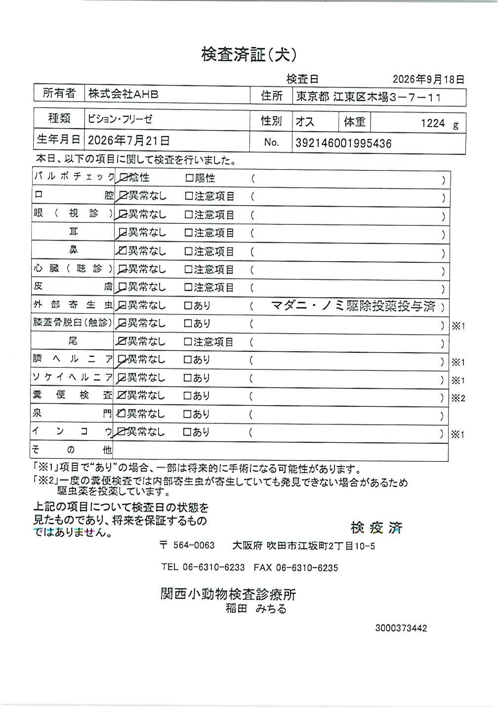 ビション・フリーゼ
