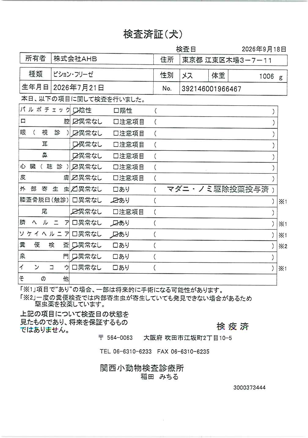 ビション・フリーゼ