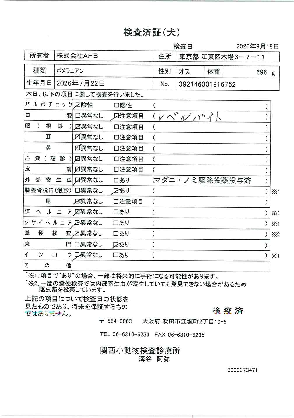 ポメラニアン