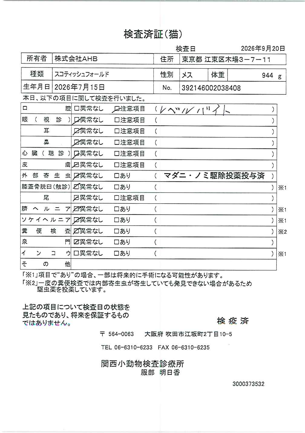 スコティッシュフォールド
